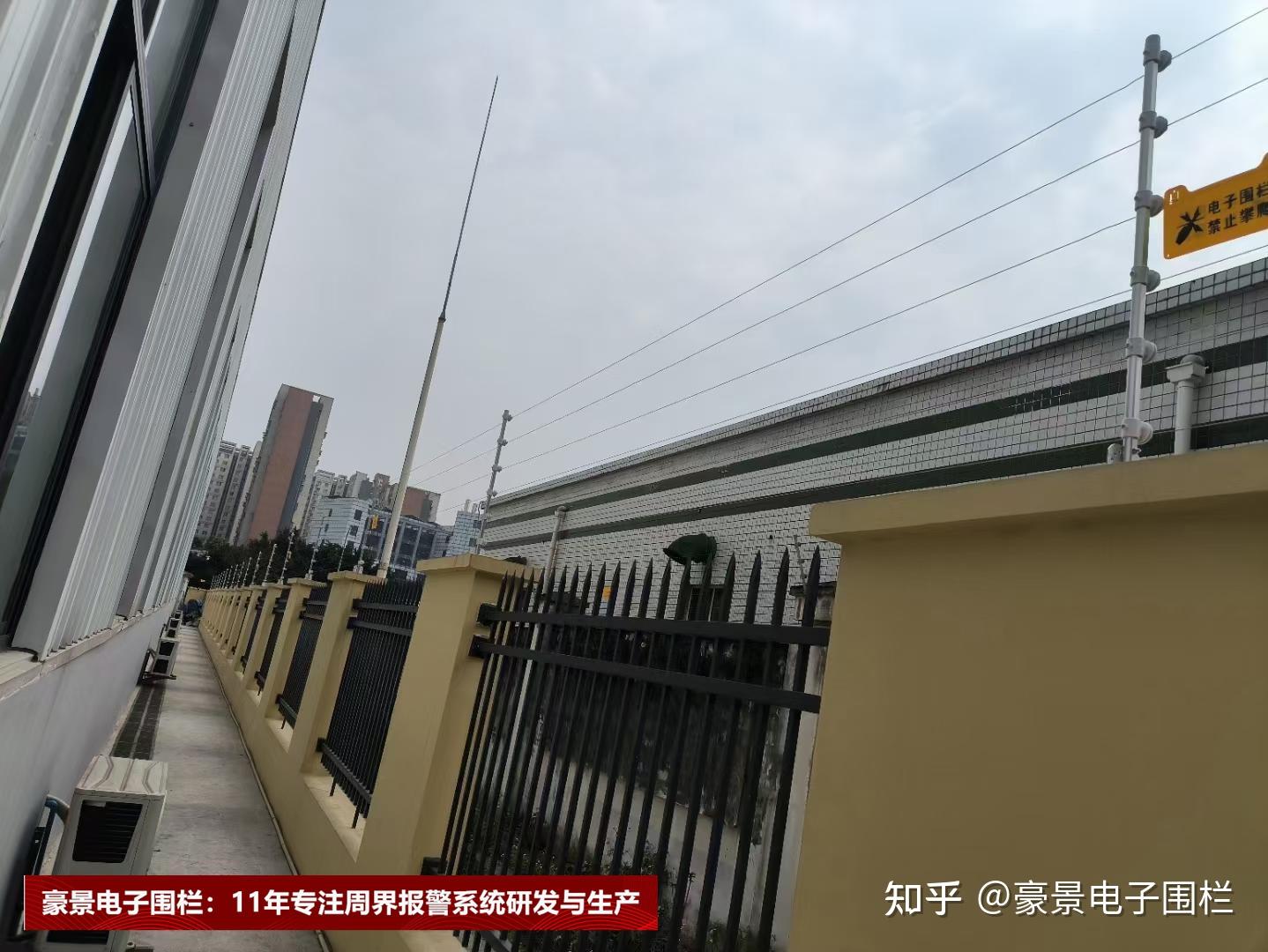 老板心头好！杨瀚森被公开点名！这地位！！！